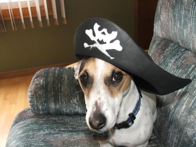 Ahoy Matey!