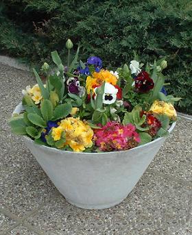 Container Garden Flowers