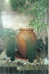 Container Gardening Picture